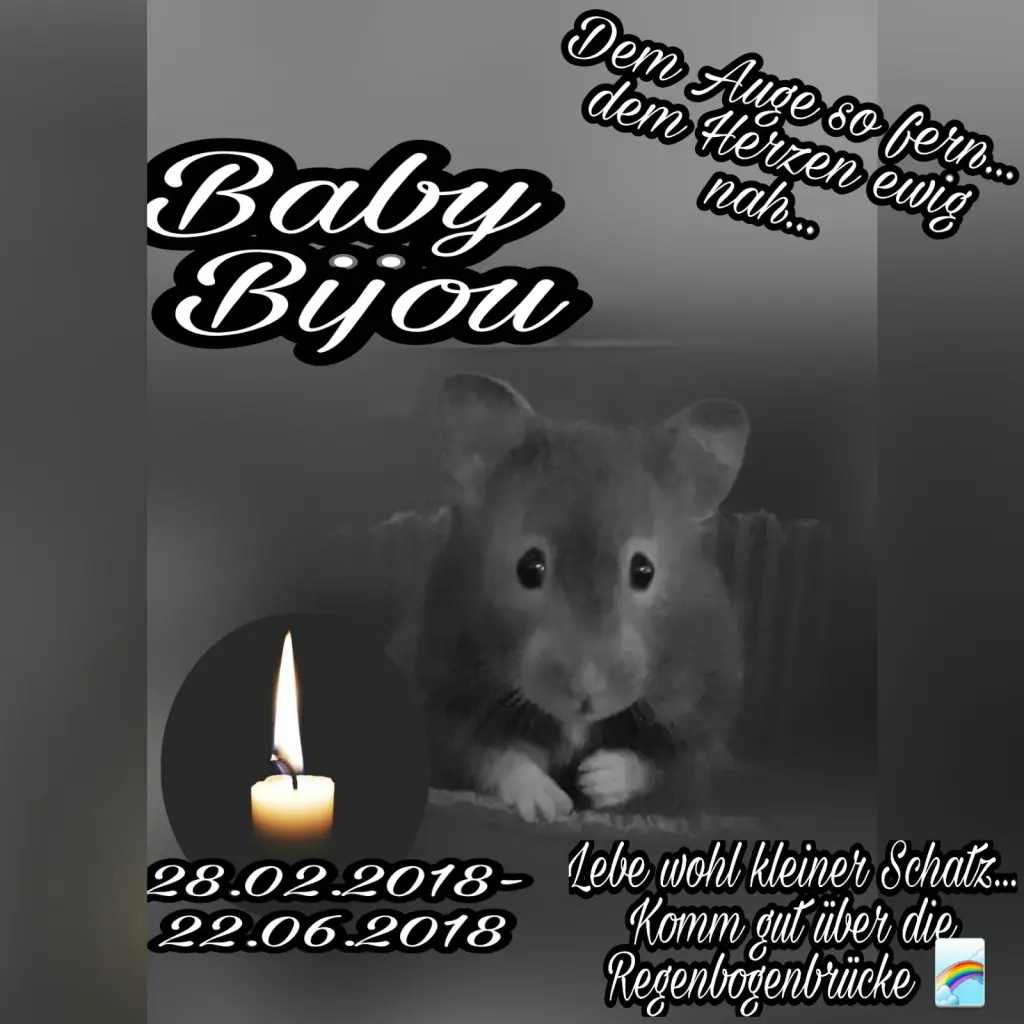 Condolence image of Ute