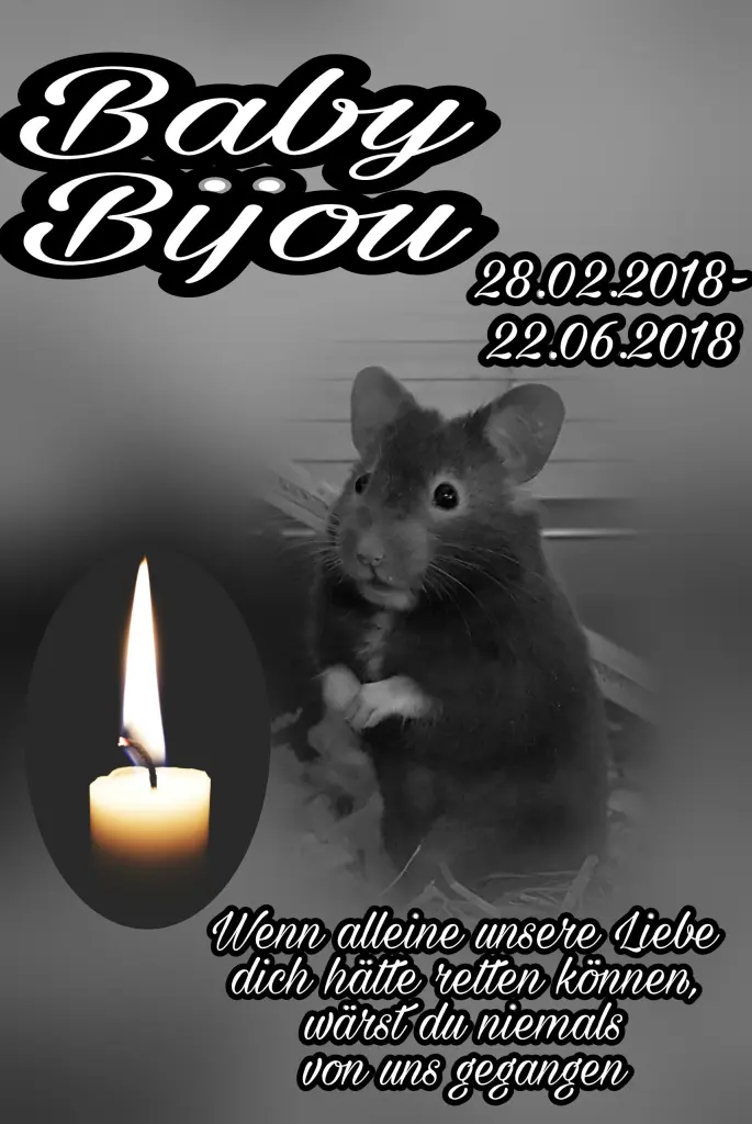 Condolence image of Helga