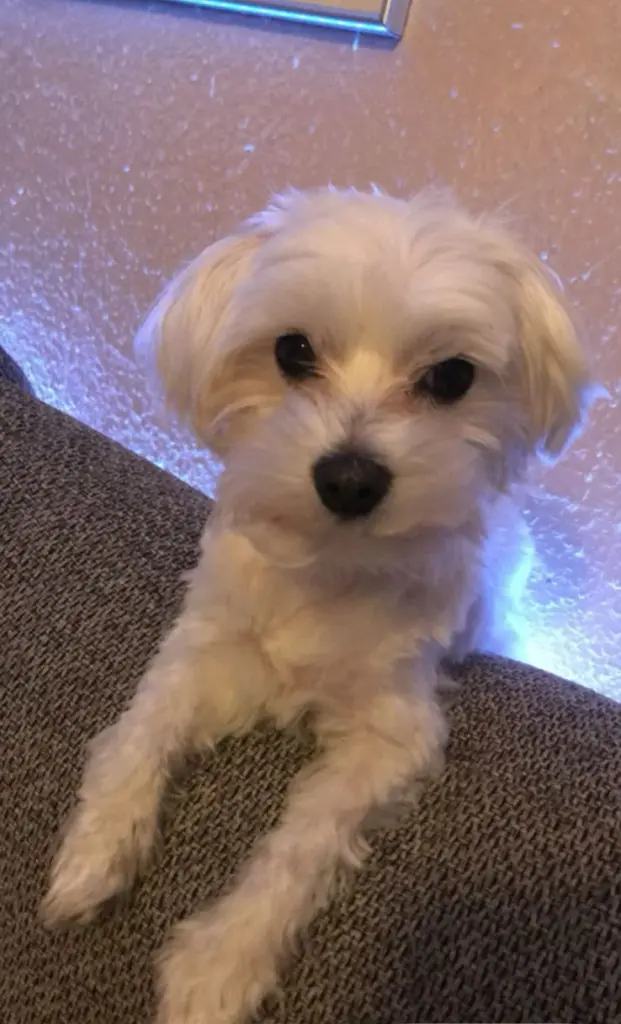 Bild von Tobi