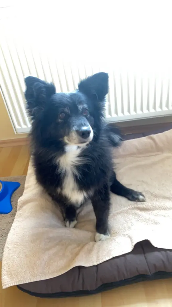 Bild von Dorina