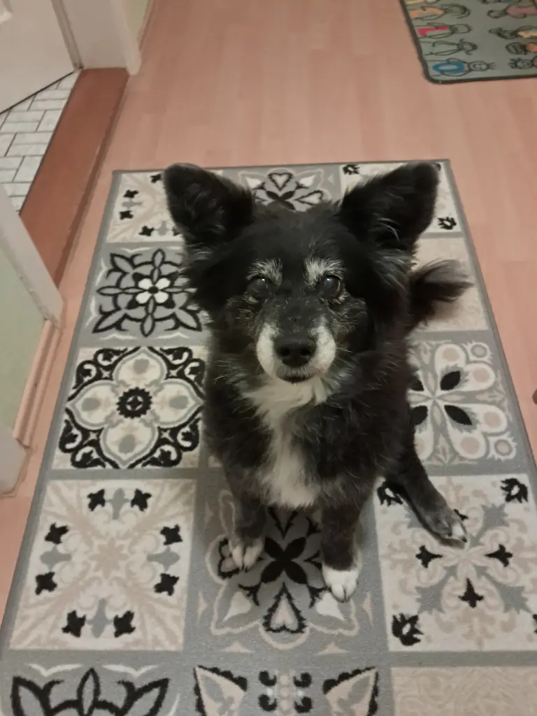 Bild von Dorina