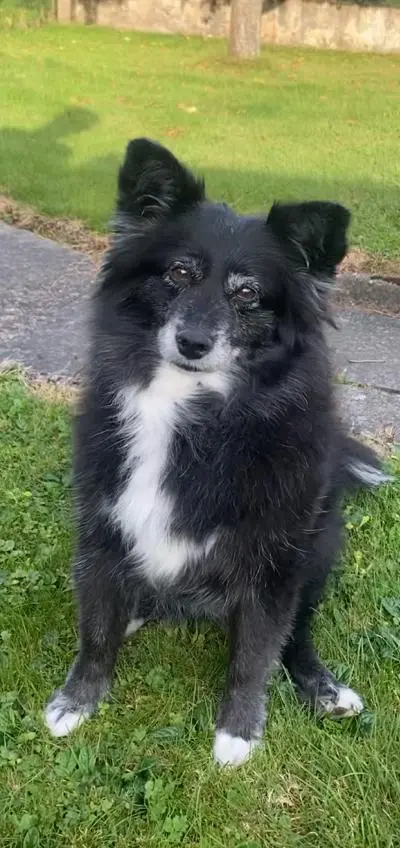 Bild von Dorina