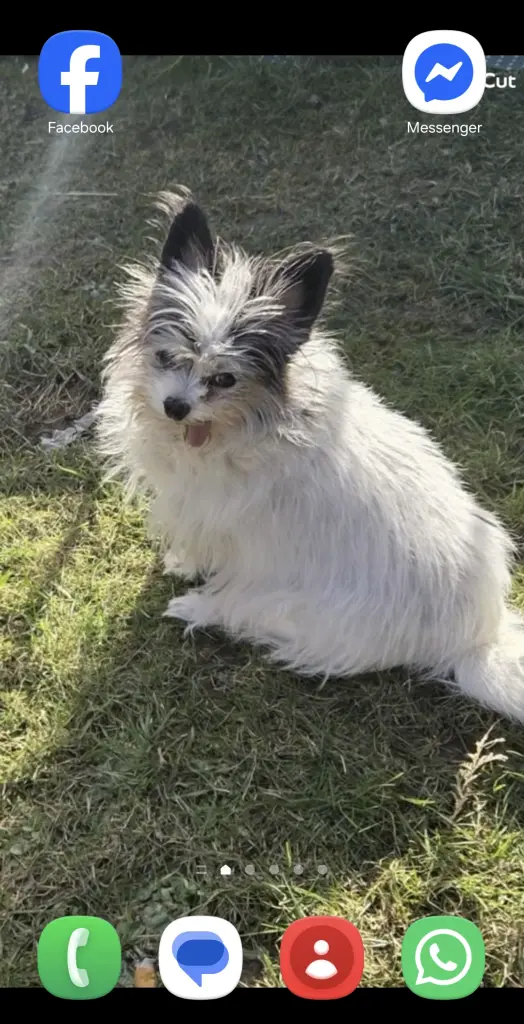 Image from Tippsie