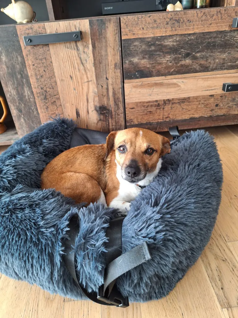 Bild von Tilly
