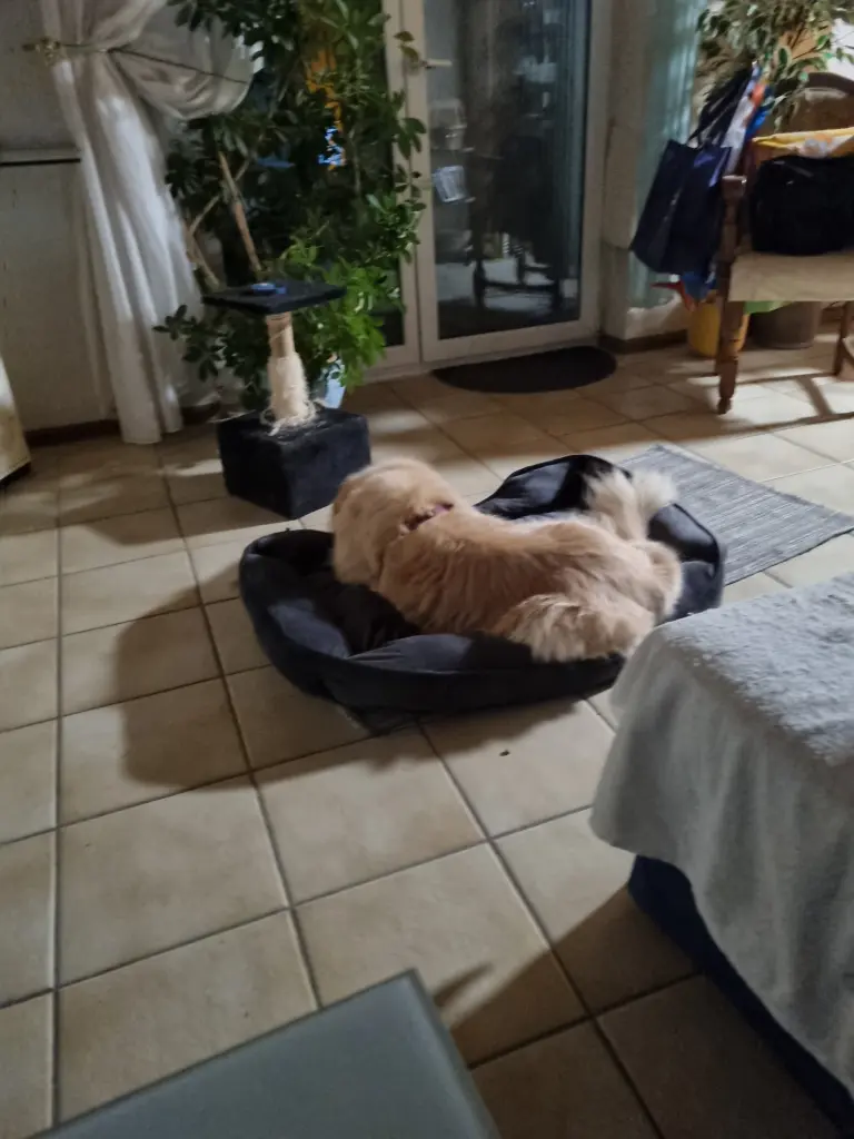 Bild von Fedra