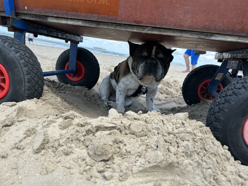 Dein letzter Urlaub