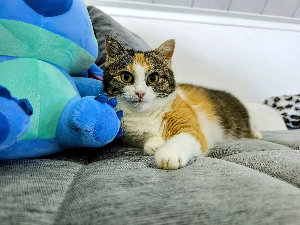 Image from Yuna