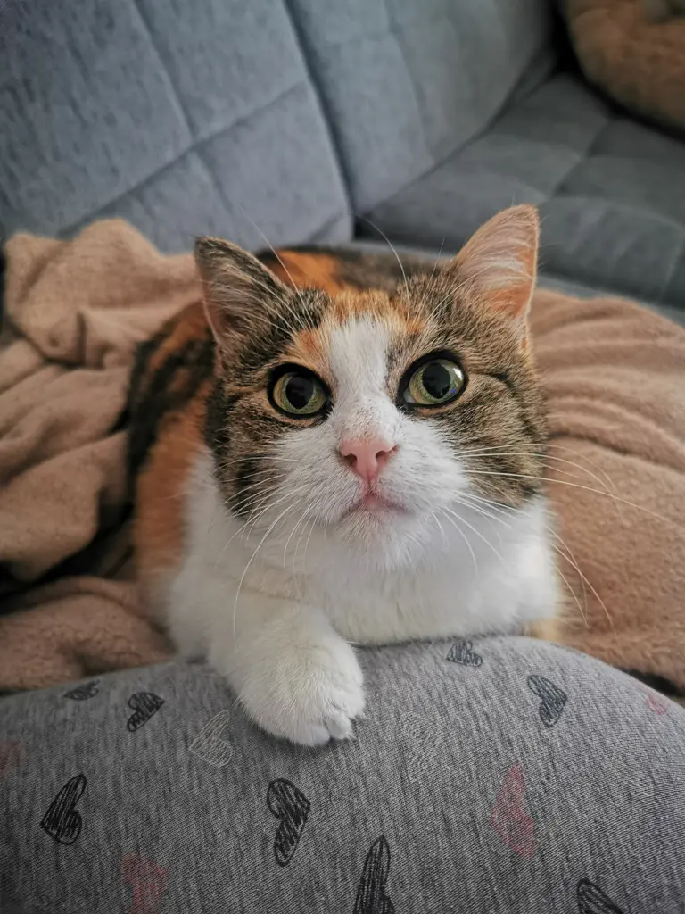 Image from Yuna