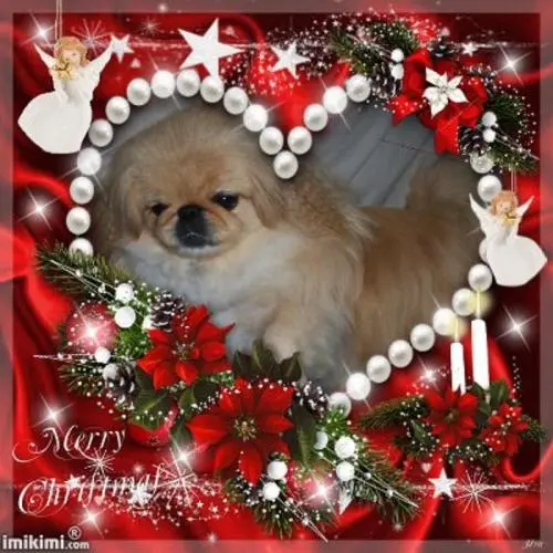 Image from ? meine entzückende Sina ?