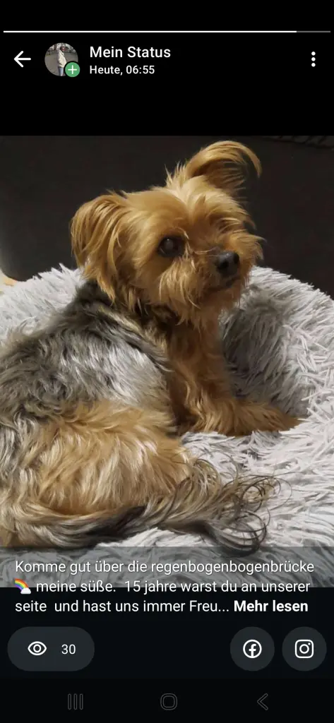 Bild von Lulu