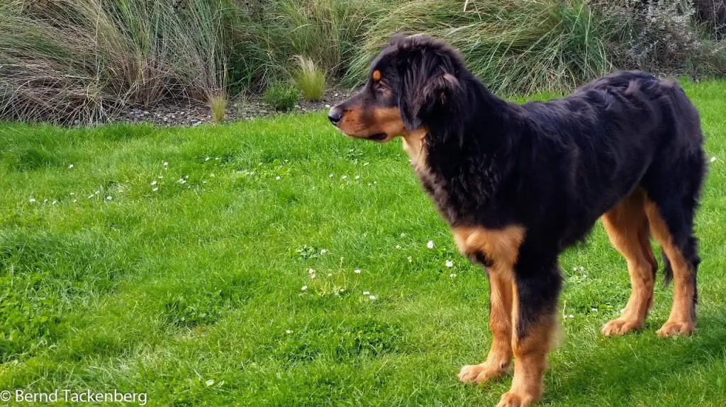 Bild von Deeks