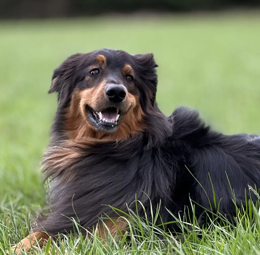 Bild von Deeks