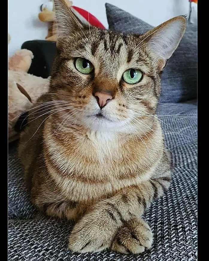 Unser Seelenklempner