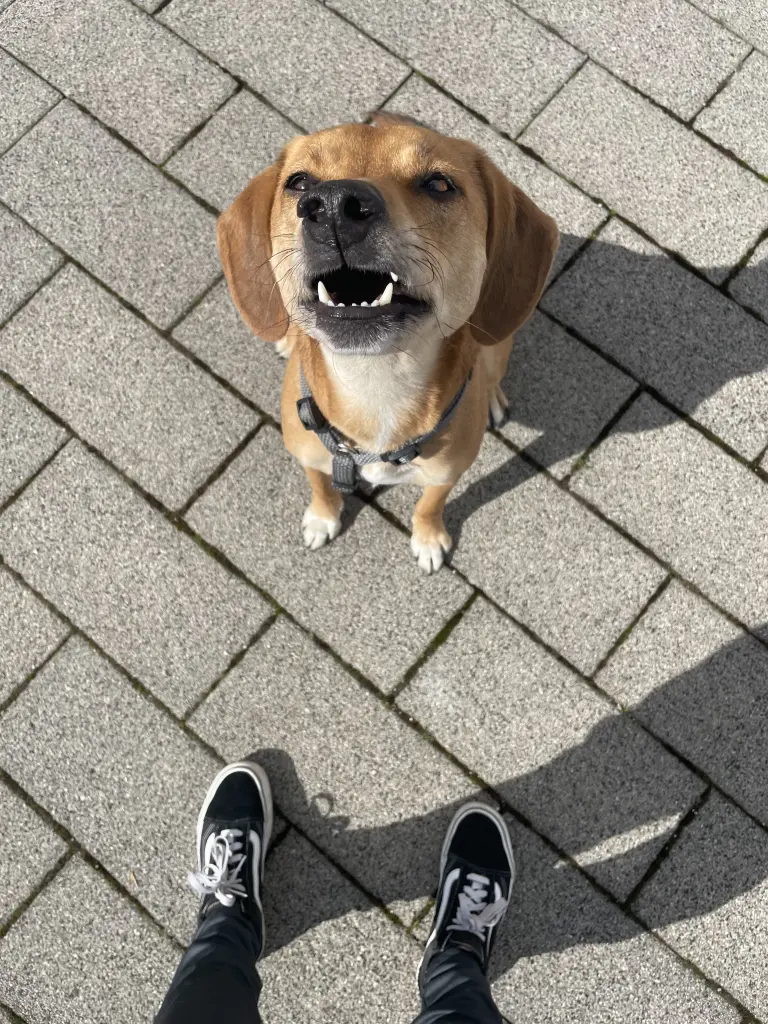 Seelenmädchen!