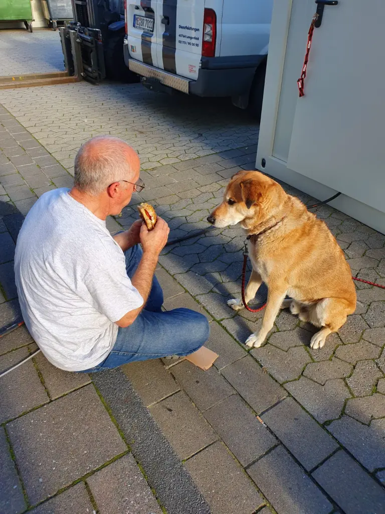 Das Beste - mit Herrchen Essen teilen