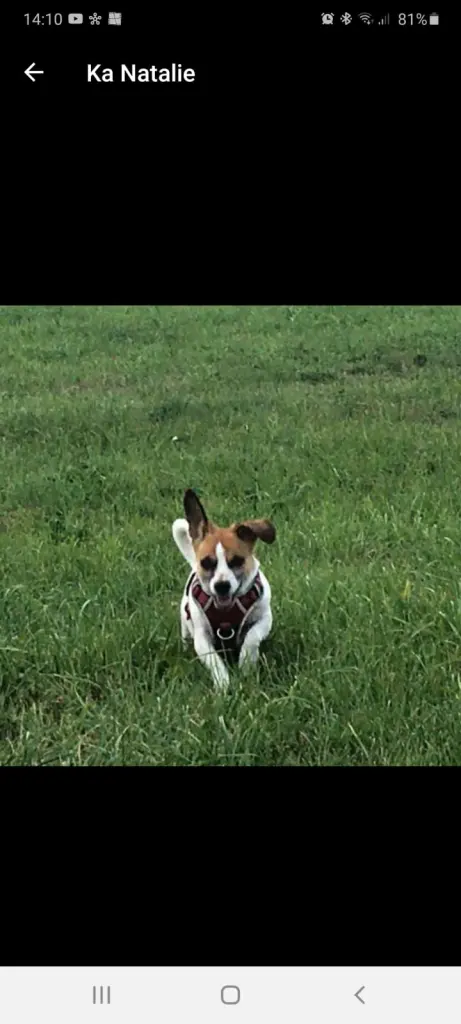 Bild von Lucy