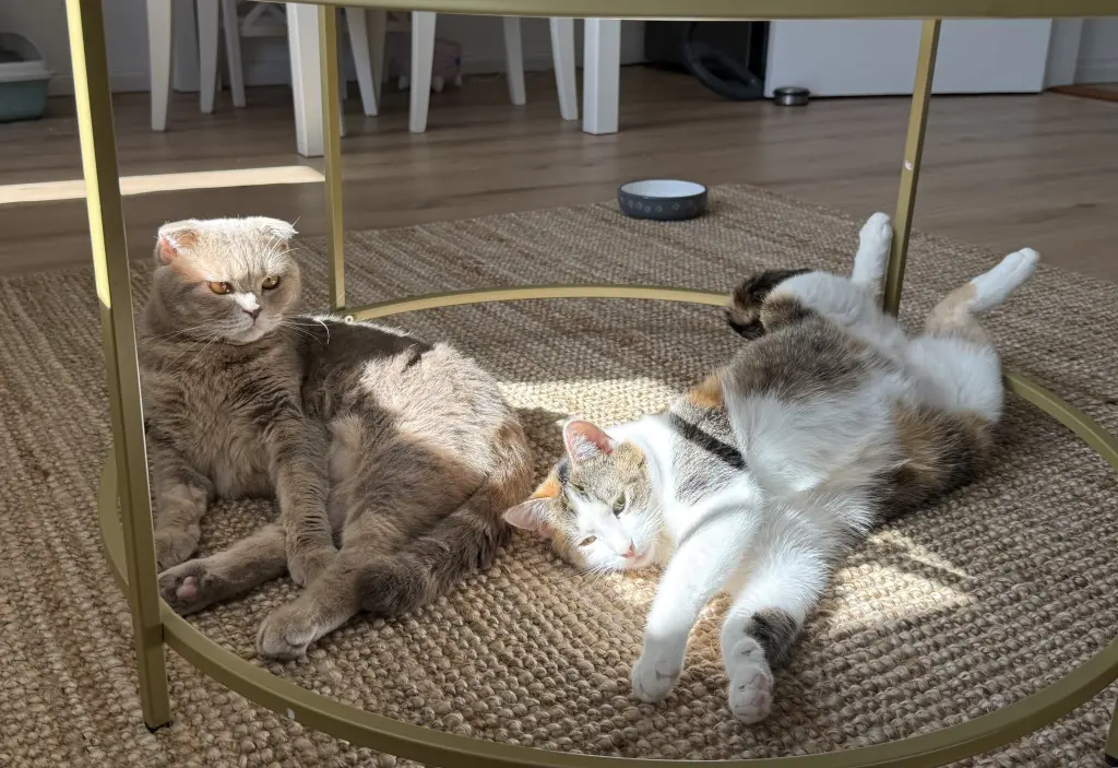 Neo& Marlou ❤️