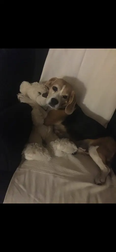 Gute Nacht