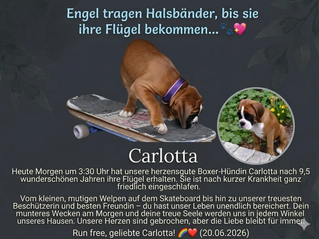 Bild von Carlotta
