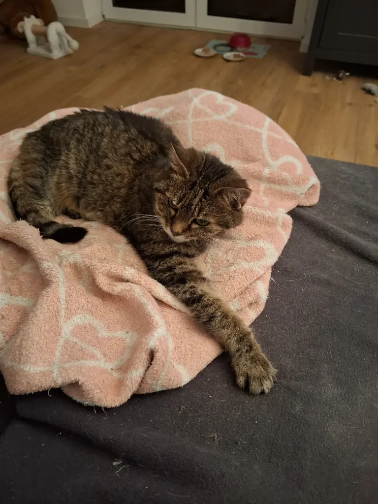 Bild von Fienchen