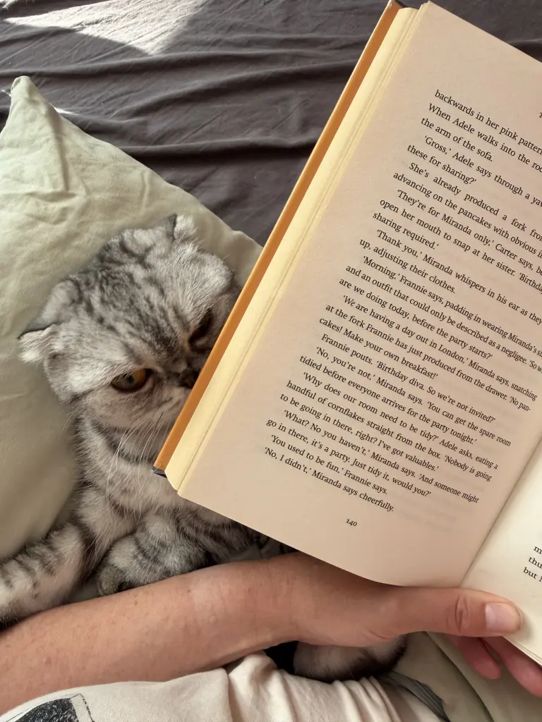 I don’t care you are reading. I need cuddles.