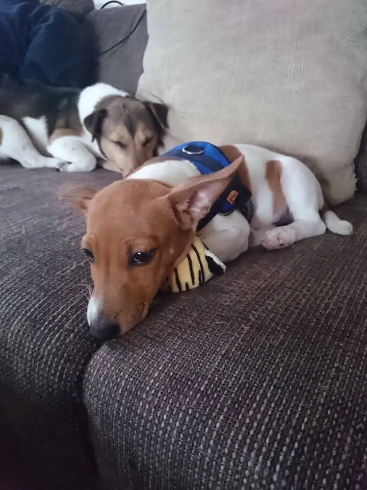 Bild von Marley
