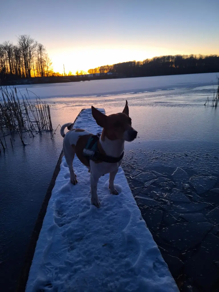 Bild von Marley
