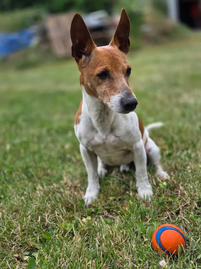 Bild von Marley