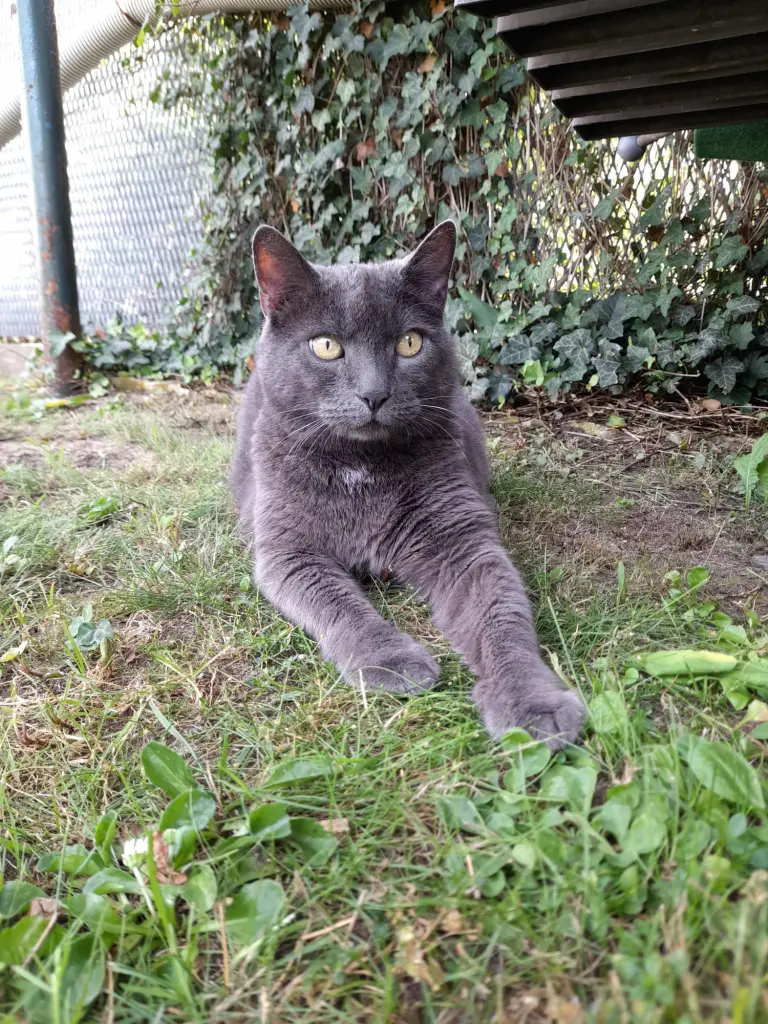 Bild von Lilly