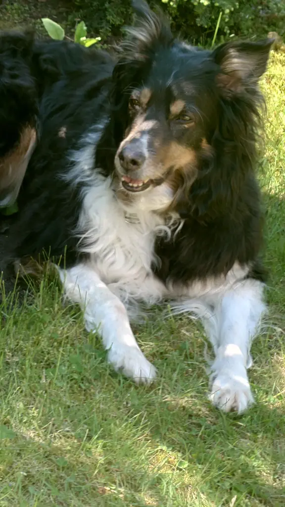 Bild von Elli