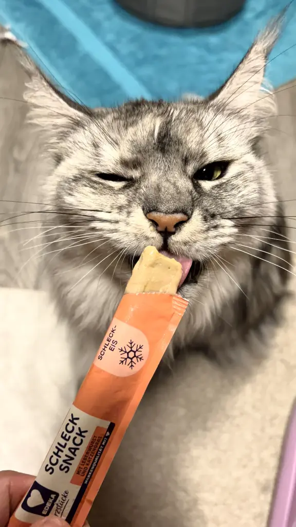 Lecker Eis, da zwinker ich mal