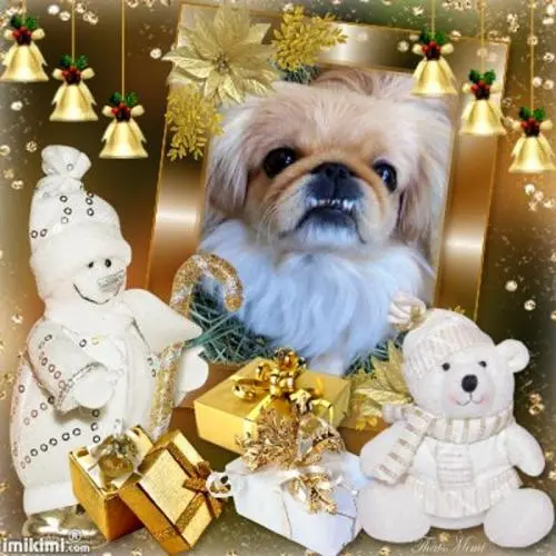 Image from meine entzückende kleine Sina ?