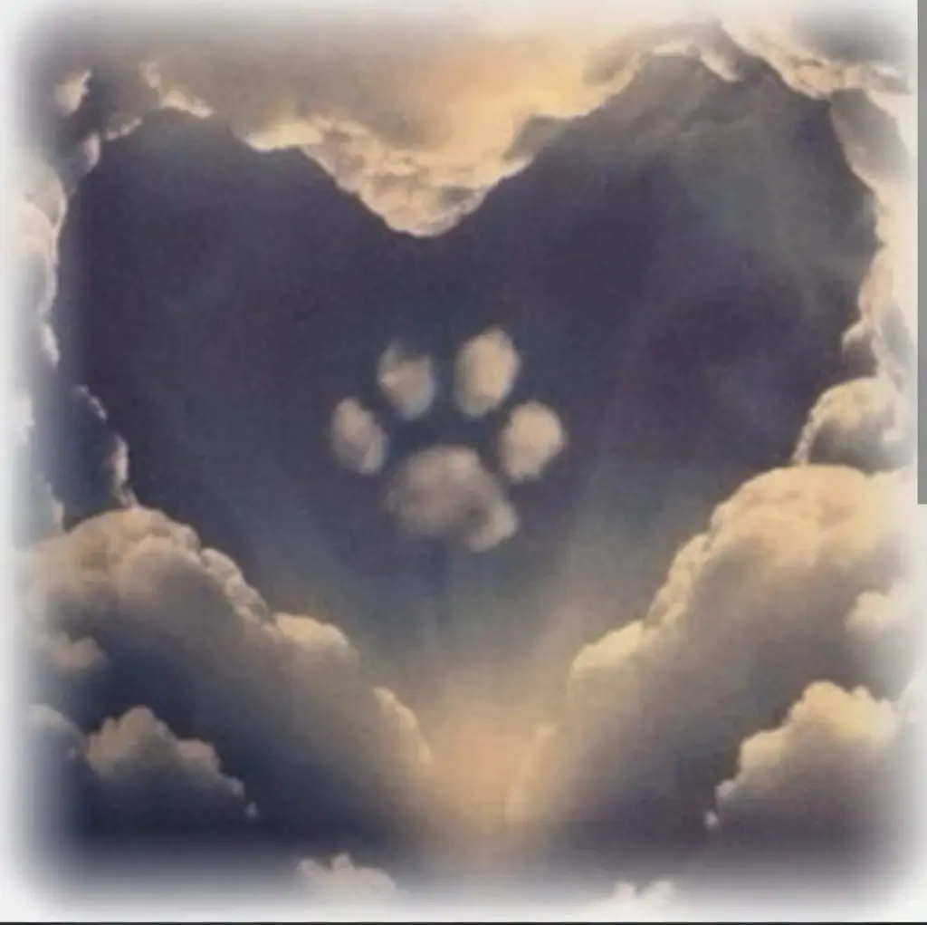 Condolence image of Erika Cremer