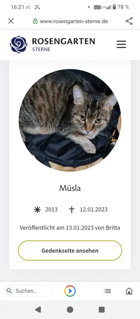 Andachtsbild von Britta Nettersheim mit müsla