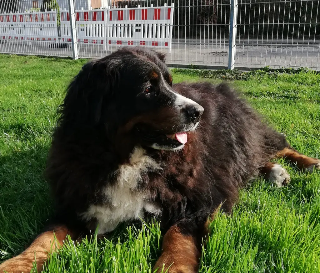 Bild von Ella, Eternal Flame