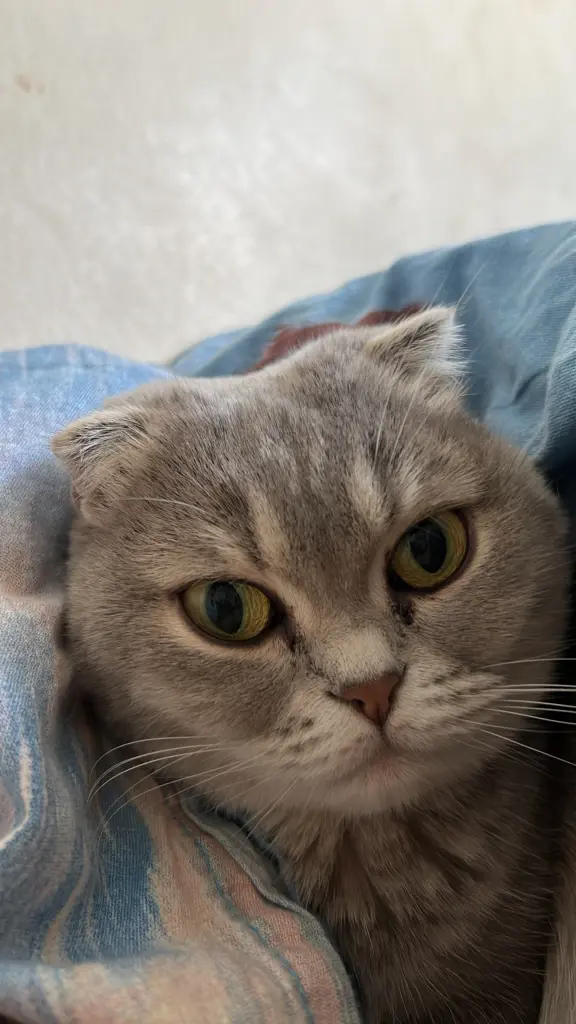 Kuscheln? Immer.