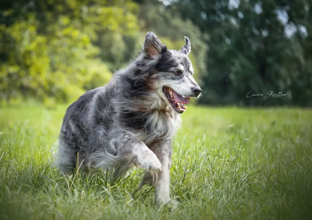 Bild von Marley