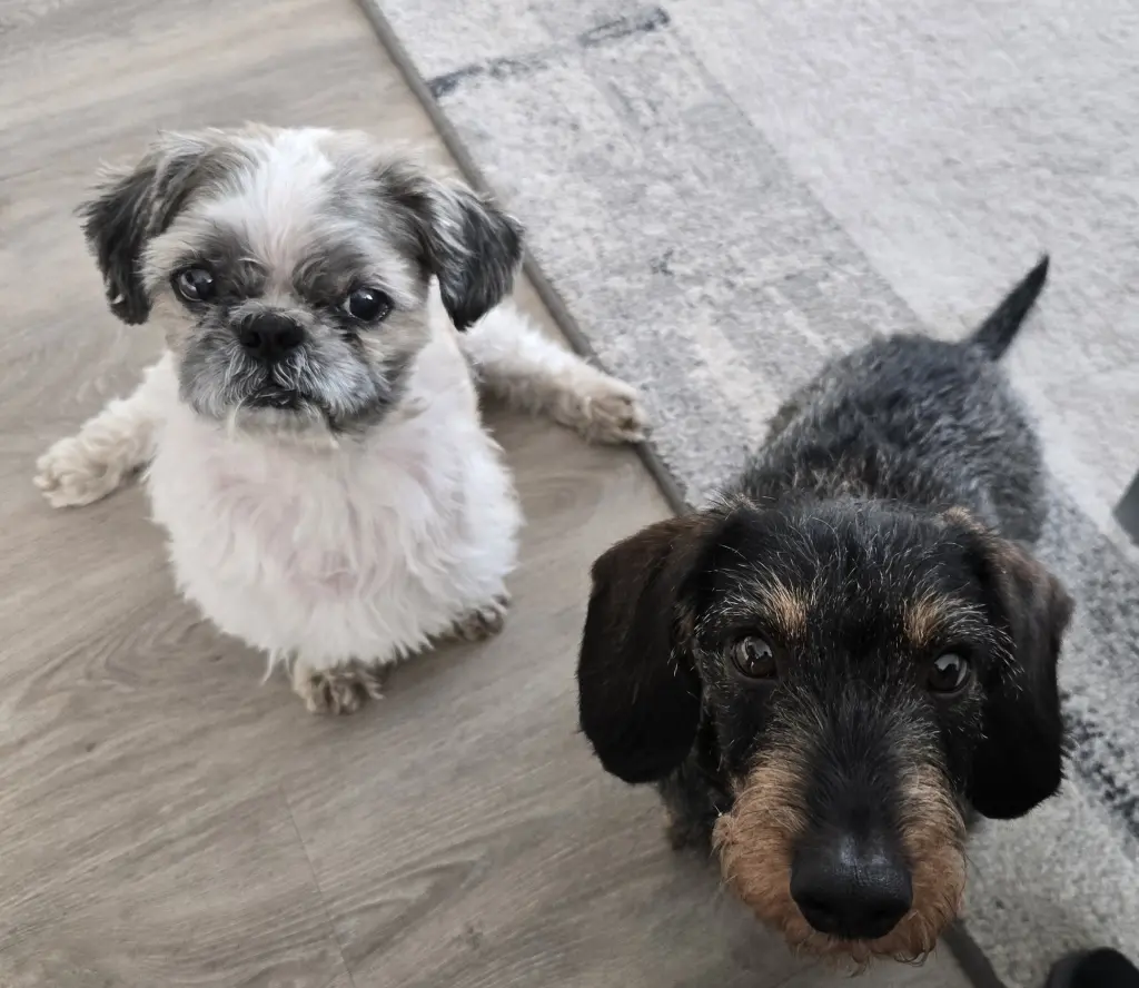 Andachtsbild von Gabi und Frank und Rudi Marienfeld