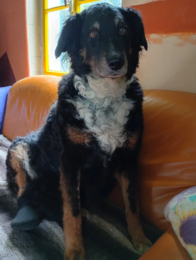 16.06.26
Nala