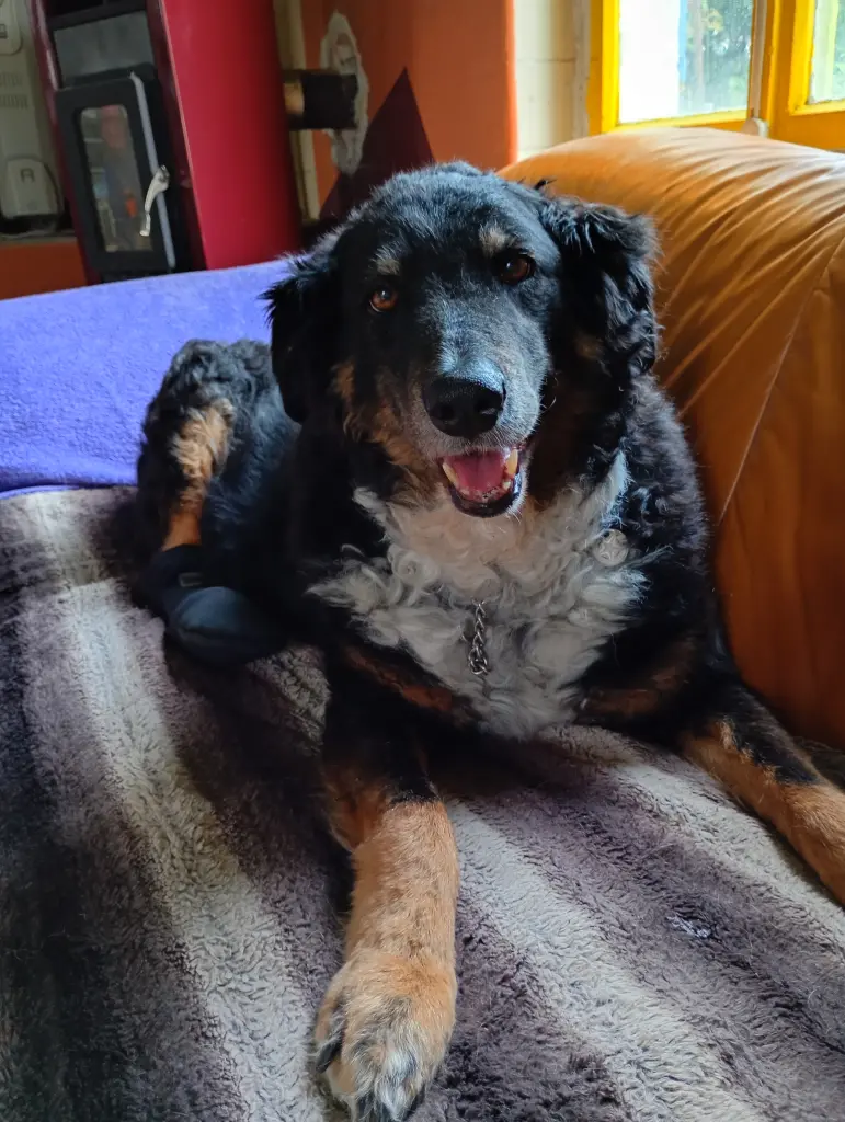 16.06.26
Nala