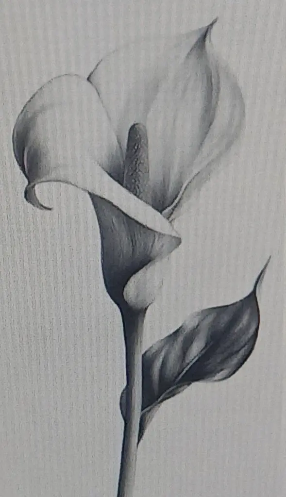 Condolence image of Jasminka Zukic