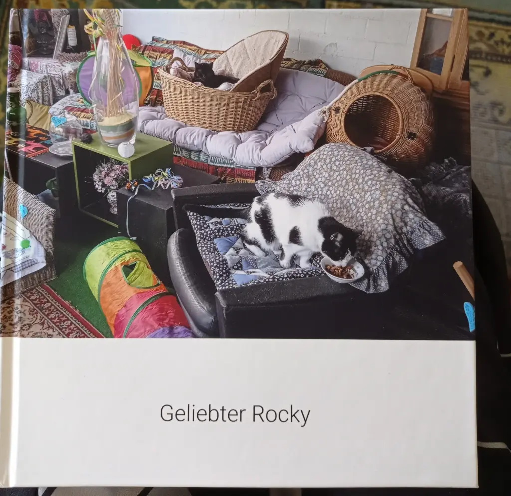 Image from Rocky
