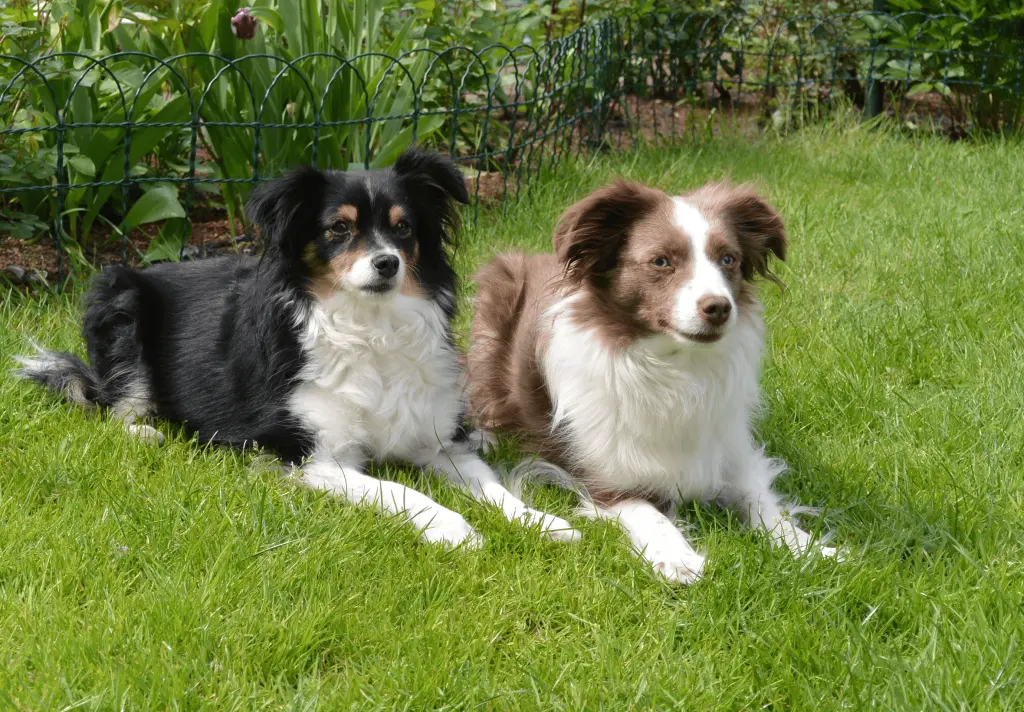 Andachtsbild von Brigitte