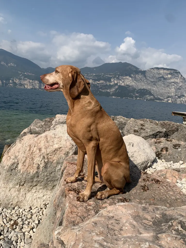 Bild von Greta