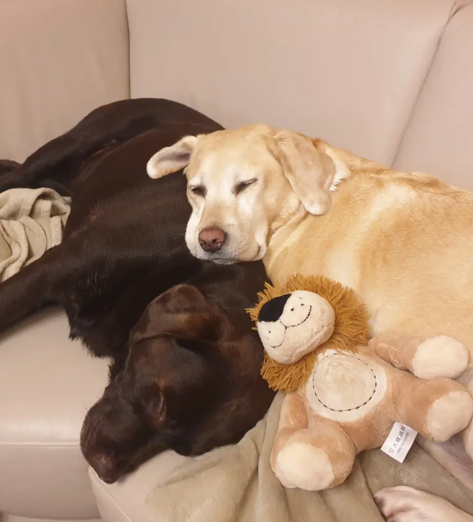 Sina und Leni