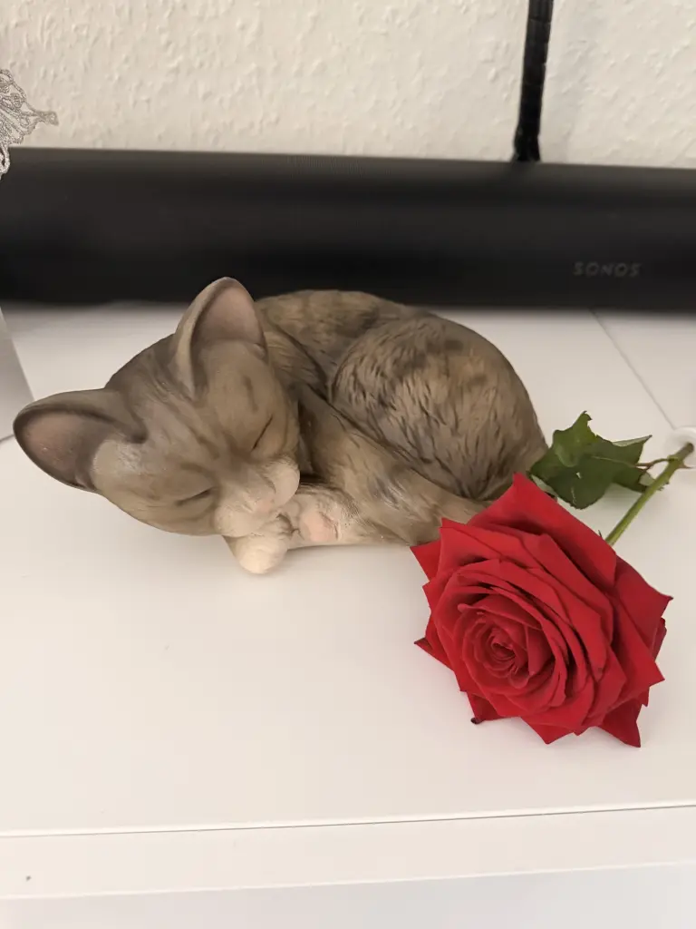 Condolence image of Anja