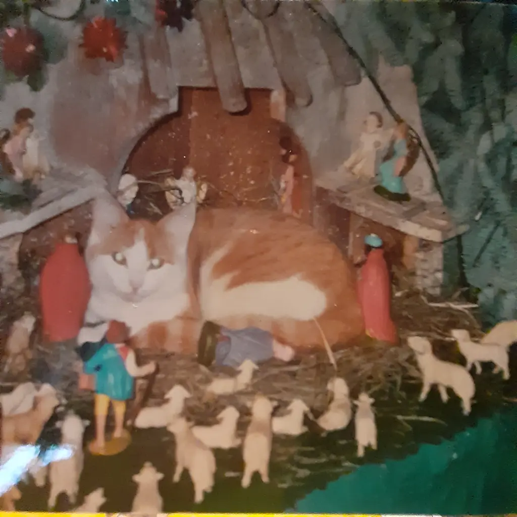 Bild von Cleopatra