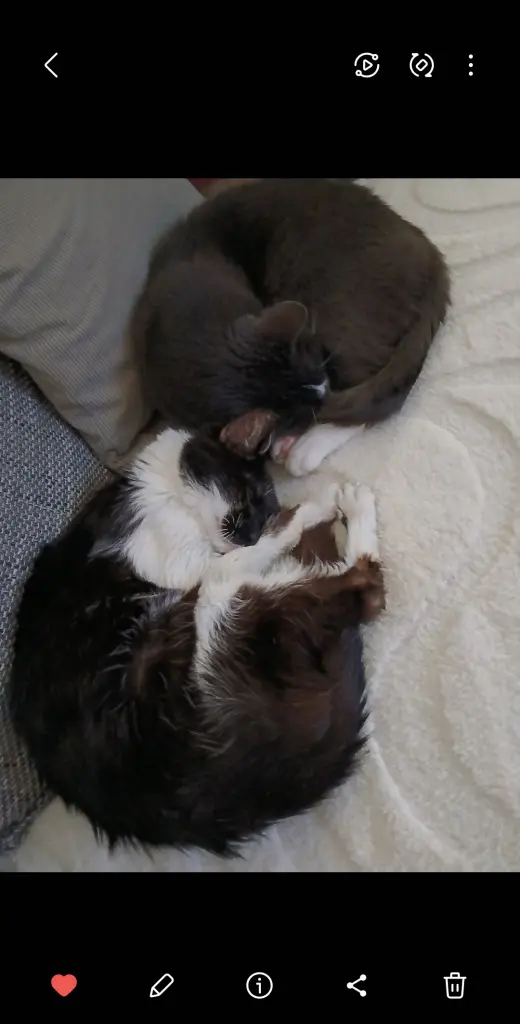 Leon und Toby ♡