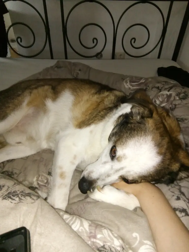 Condolence image of Sarah