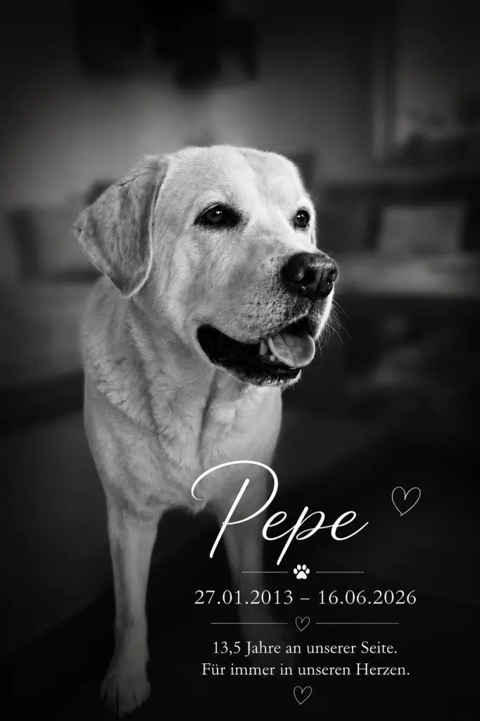 Image from Pepe